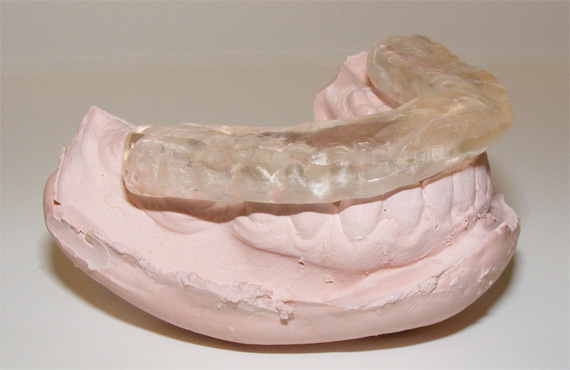 maqueta del sistema musculo-articular